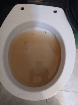 Empresa de Desentupimentos