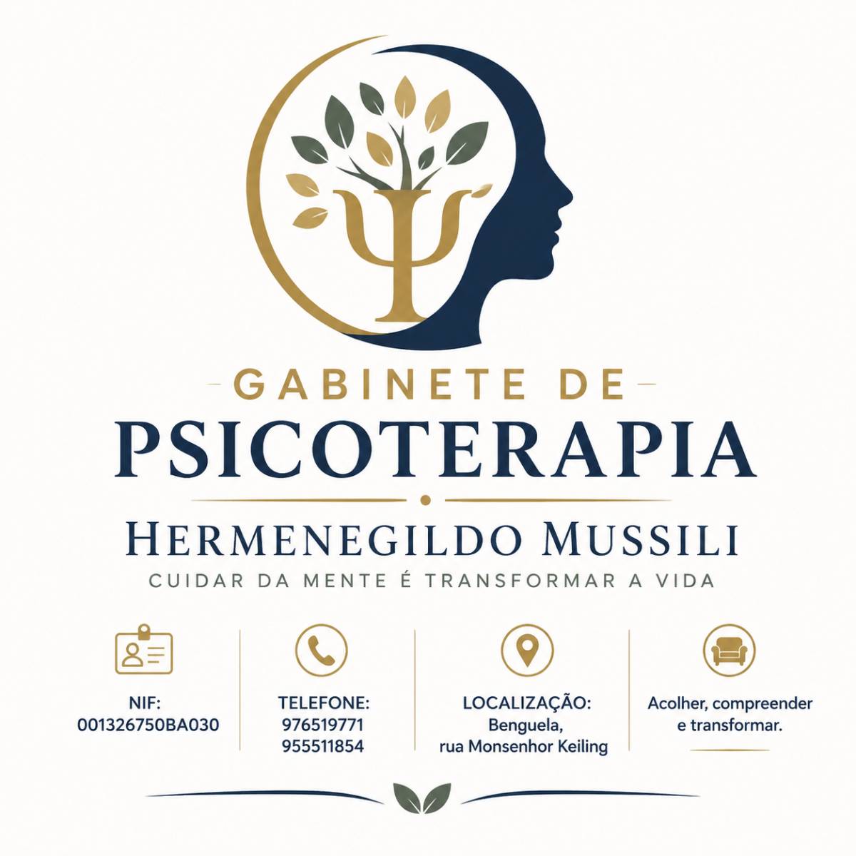 Dr Hermenegildo Mussili - Benguela - Sessão de Psicoterapia