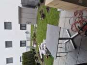 Sod Installer