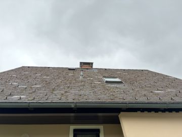Dachreiniger