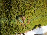 Fence Installer