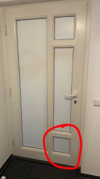 Fachmann für Katzenklappen