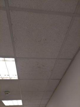 Drop Ceiling professional