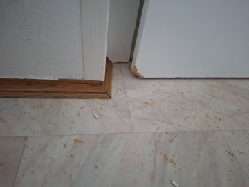 Pest Control