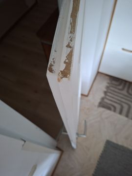 Pest Control Services - Pest Control