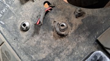 Electric Scooter Specialist