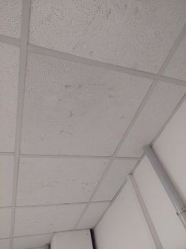 Drop Ceiling