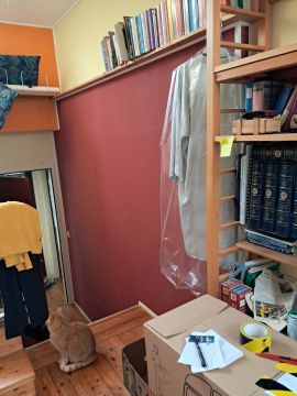 Move-in or Move-out Cleaning - Cleaning