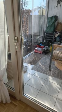 Pet Door Installer - Home Improvements