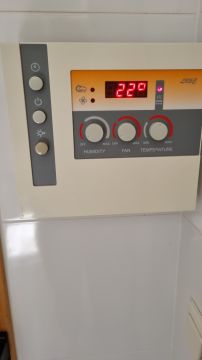 Sauna Repair Specialist