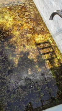 Swimmingpool reinigen oder warten