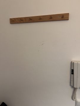 Mold Removal Expert