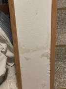 Mold Inspection and Removal