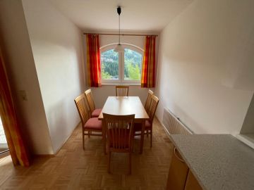 Reinigung der Wohnung - Reinigung