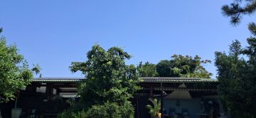 Spezialisten für Solaranlagen