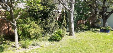 Tree Trimmer