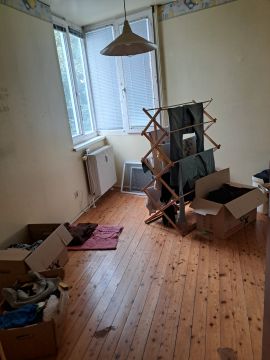 Move-in / Move-out Cleaner