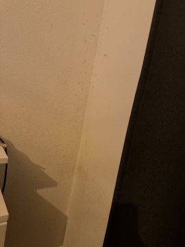 Experten für Schimmelbeseitigung
