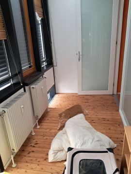 Move-in / Move-out Cleaner
