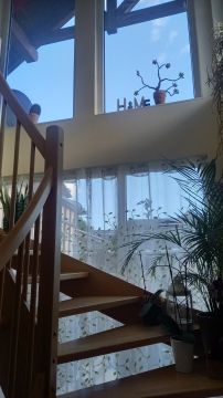 Window Cleaner