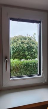 Fachmann für Katzenklappen