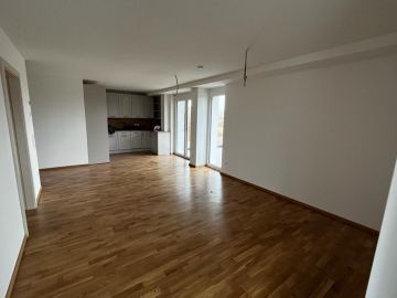 Tapete anbringen / Tapezierung
