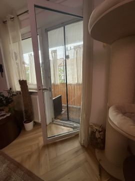 Fachmann für Katzenklappen