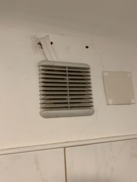 Experten für Badlüfter