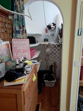 Move-in / Move-out Cleaner