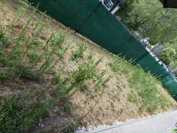 Spezialisten für Kunstrasen