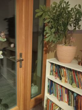 Fachmann für Katzenklappen