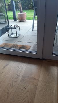 Fachmann für Katzenklappen