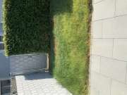 Artificial Turf Specialist