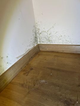 Cleaning