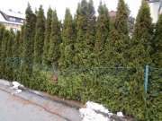 Fence Installation