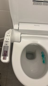 Toilet Repair Service