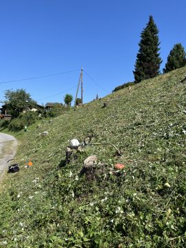 Baumstumpf oder -wurzel wegfräsen und entfernen