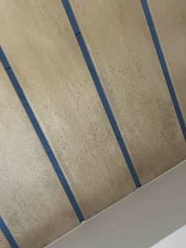 Mold Removal Expert