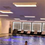 Blue Diamond Swimming - Wien - Horseback Riding Lessons
