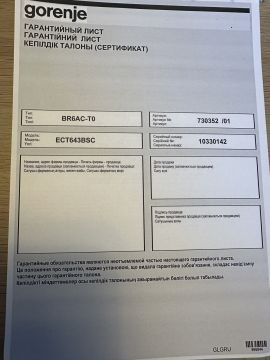 Techniker für Herd und Ofen