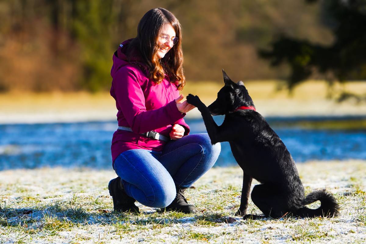 Happy Paws - Urfahr-Umgebung - Hundetraining - Betreuung und Training