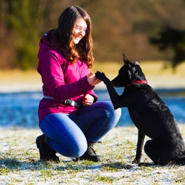 Happy Paws - Urfahr-Umgebung - Hundetraining - Betreuung und Training
