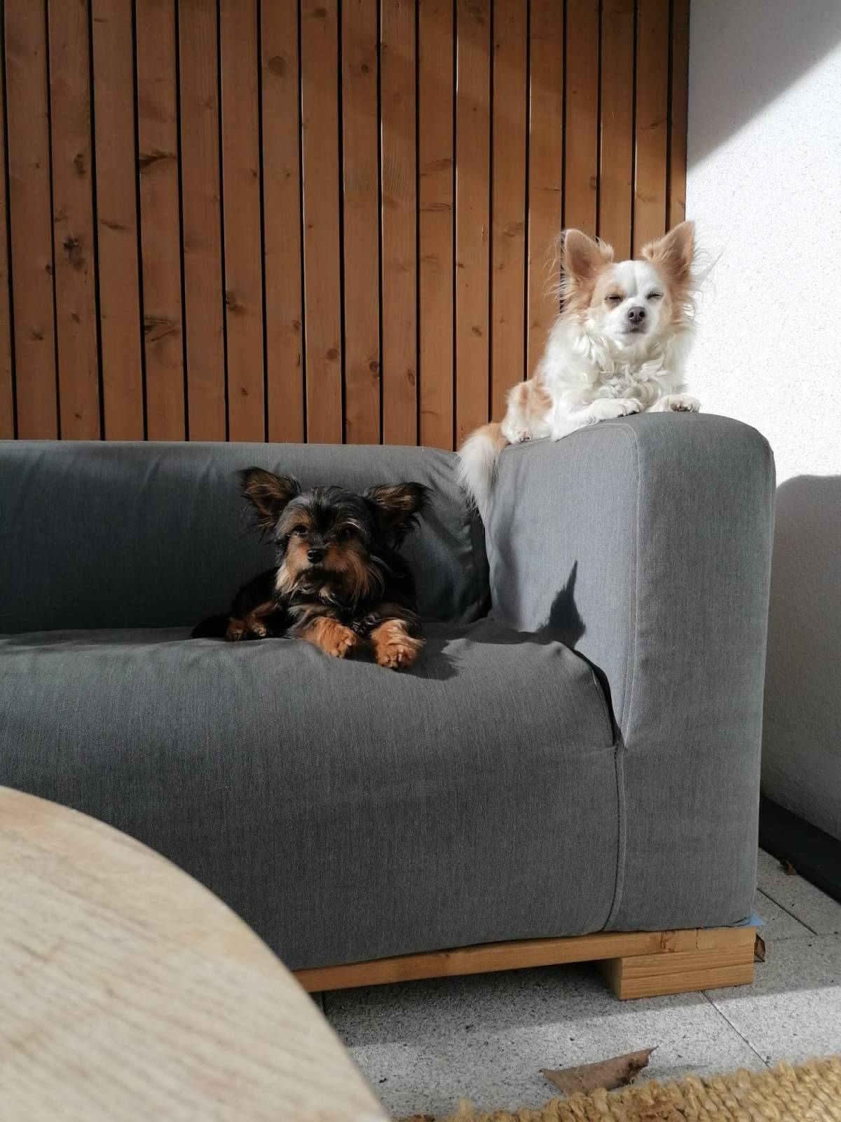 Die Prisca - Imst - Säen