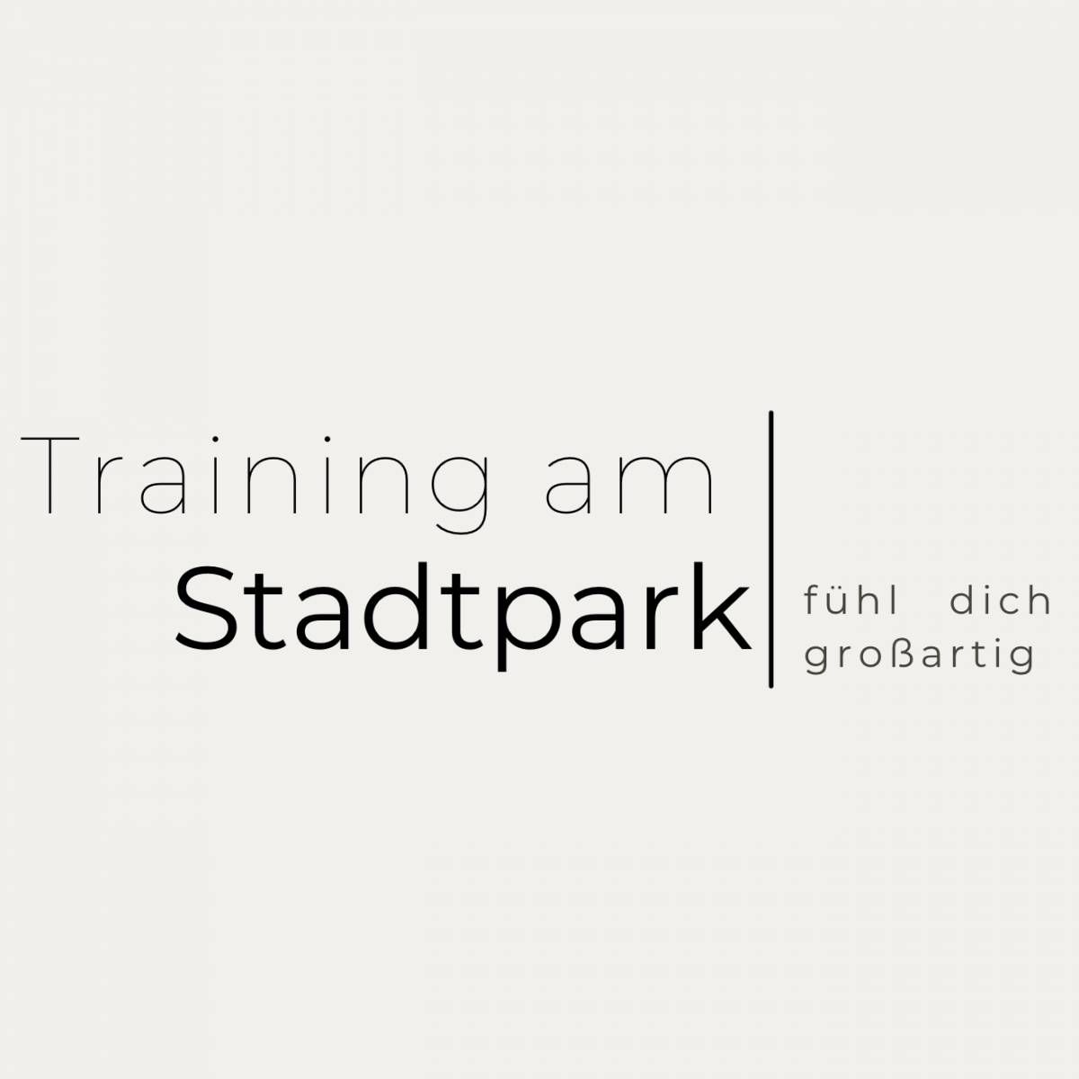 Training am Stadtpark - Spittal an der Drau - Hochintensives Intervalltraining (HIIT)