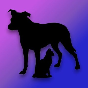 Pfotenparadies - Eisenstadt-Umgebung - Hundeausführung