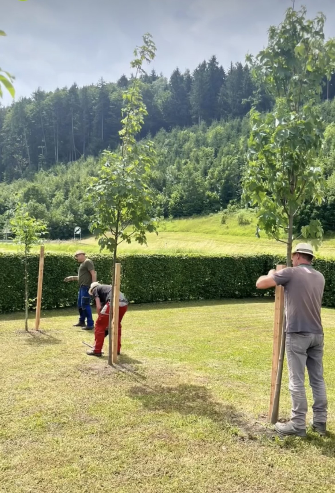 Belmin Karic - Klagenfurt-Land - Seeding