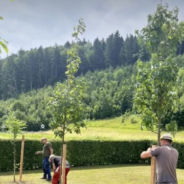 Belmin Karic - Klagenfurt-Land - Seeding