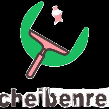 ScheibenRein - Wien - Carpet Installation