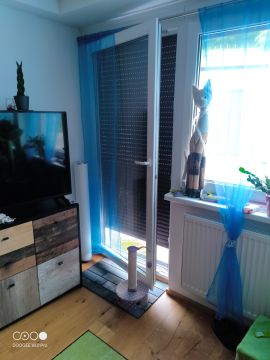 Fachmann für Katzenklappen