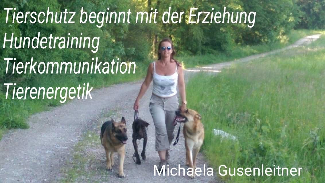 Michaela Gusenleitner-Meissner - Linz-Land - Hundetraining - Privatunterricht